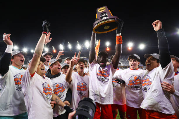 这些例子不 这些例子不