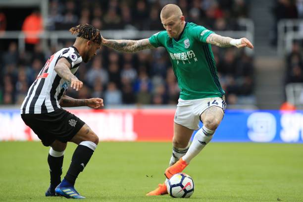 他们非常强 他们非常强